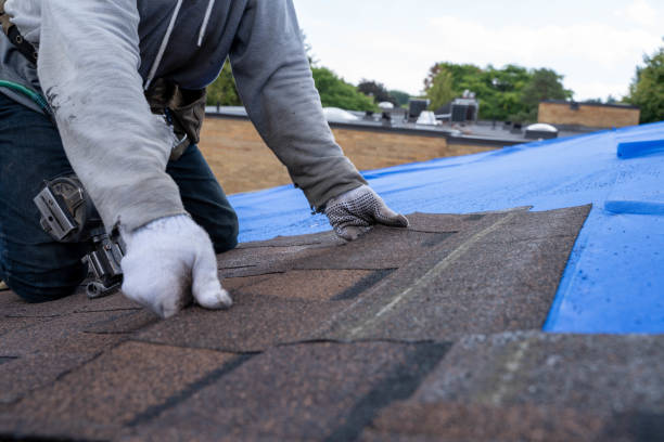 Best Flat Roof Repair Services  in Palmyra, MO