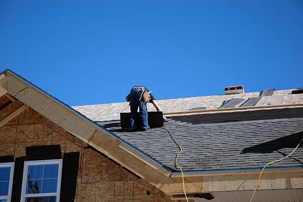 Best Storm Damage Roof Repair  in Palmyra, MO