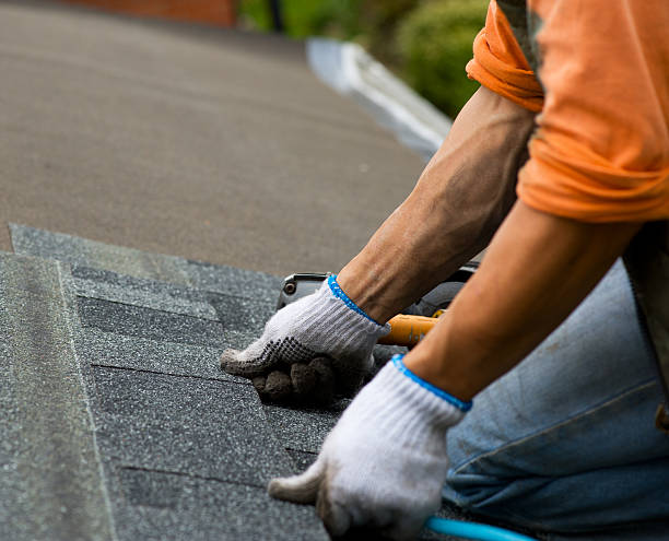 Best Shingle Roofing Installation  in Palmyra, MO