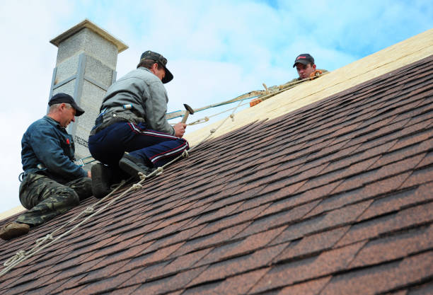 Best Storm Damage Roof Repair  in Palmyra, MO